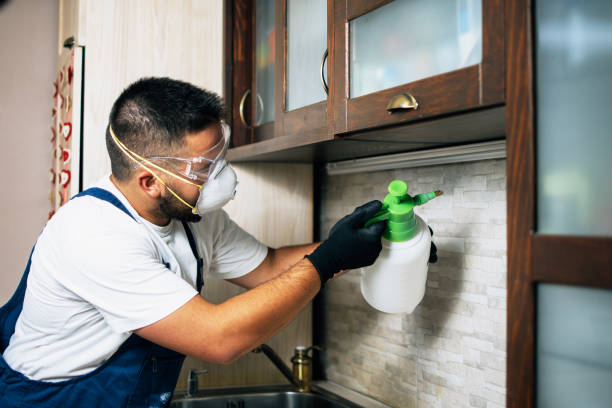 Best Best Pest Control Companies  in Delafield, WI