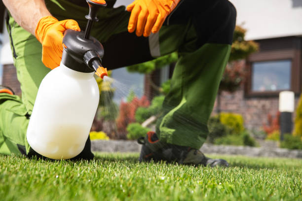 Trusted Delafield, WI Pest Control Experts