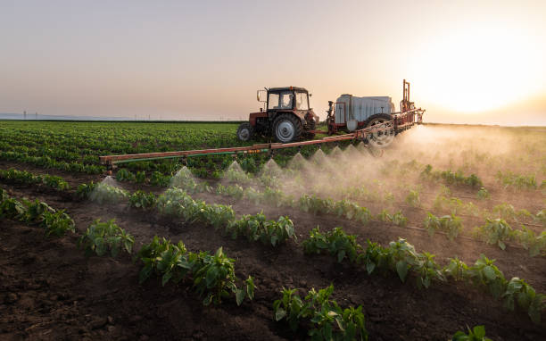 Best Commercial Pest Control Services  in Delafield, WI