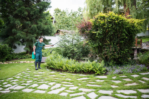 Best Best Pest Control Companies  in Delafield, WI