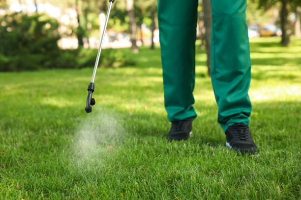 Best Bird Control  in Delafield, WI