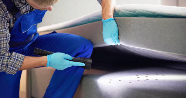 Best Residential Pest Control  in Delafield, WI